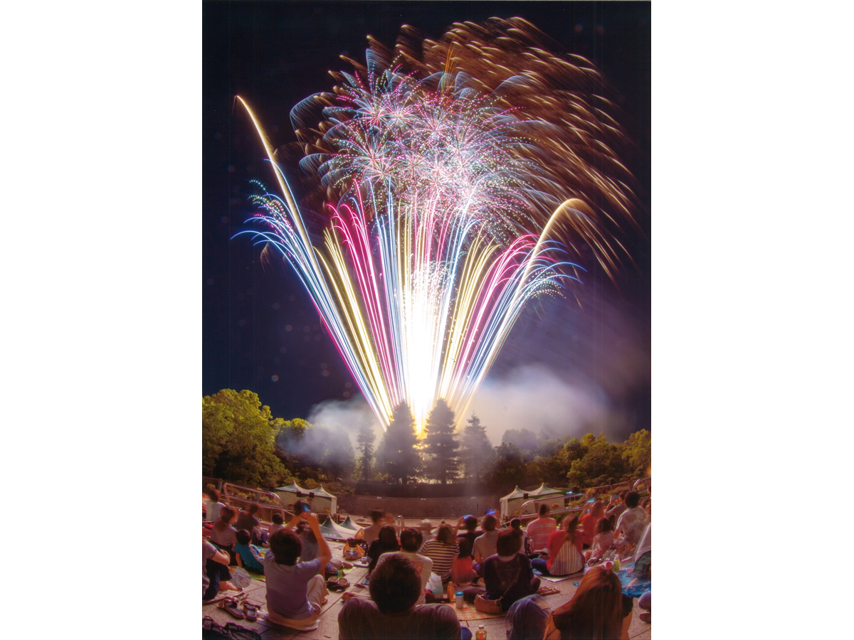 丹麥公園 夏日祭