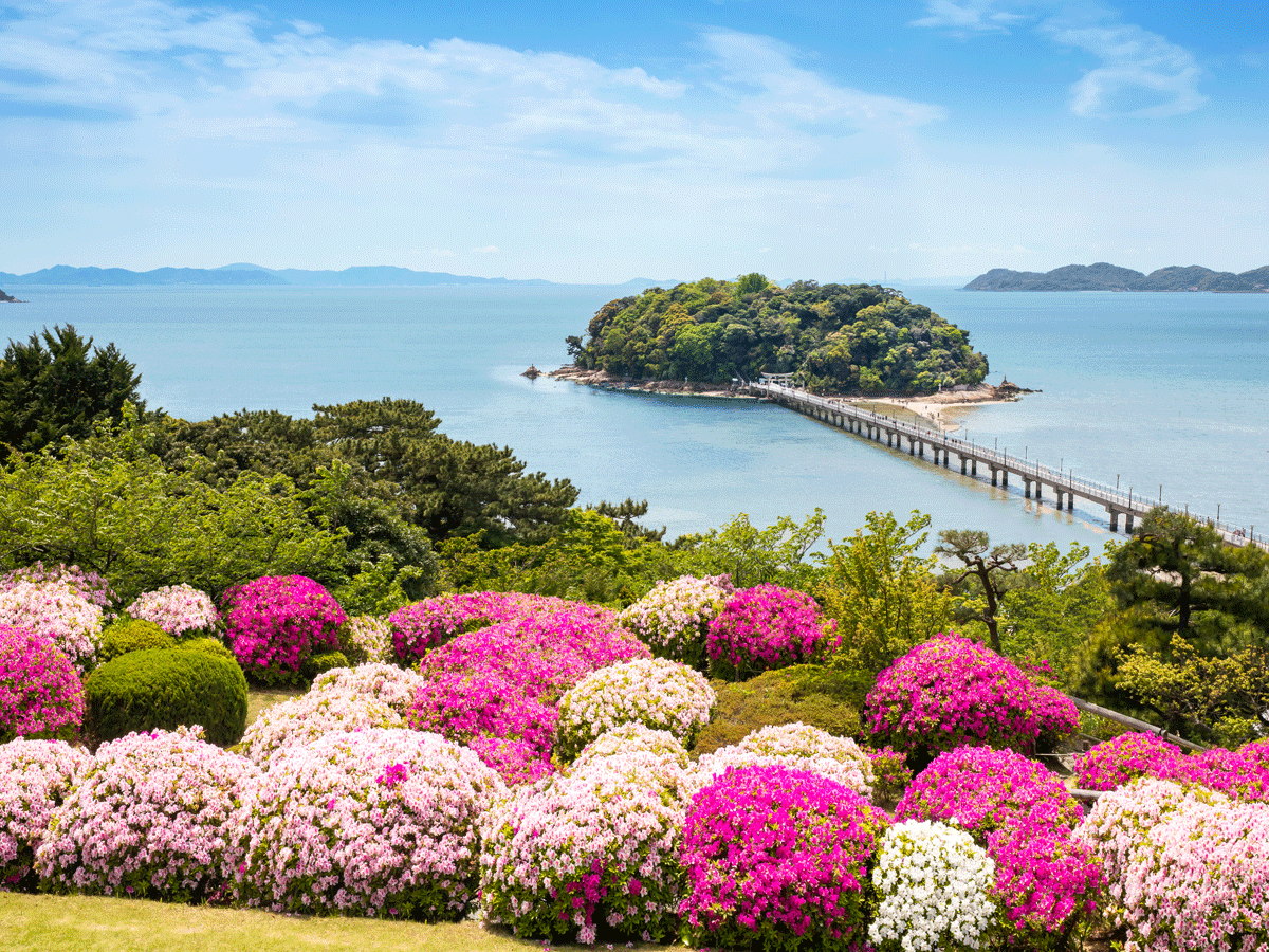 蒲郡古典酒店　杜鹃花节