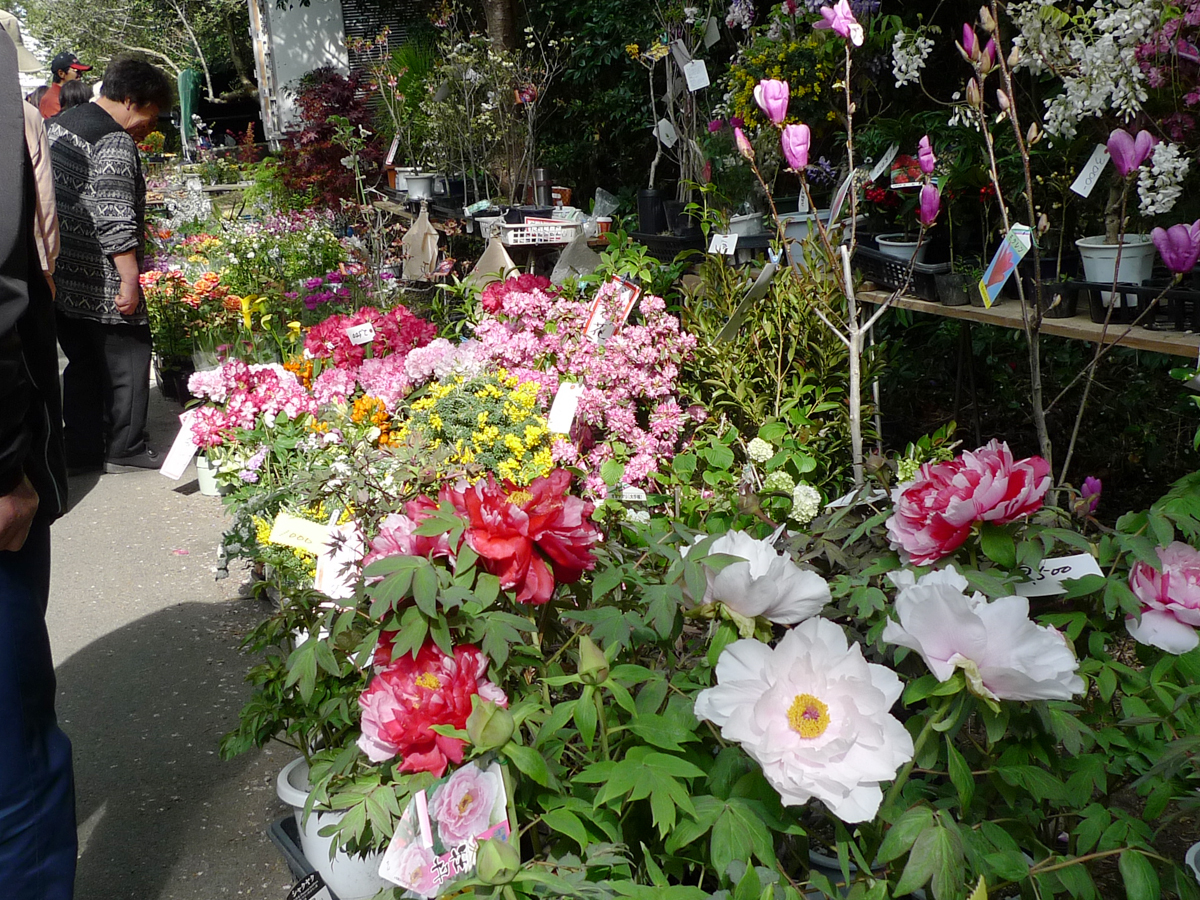 禦衣祭