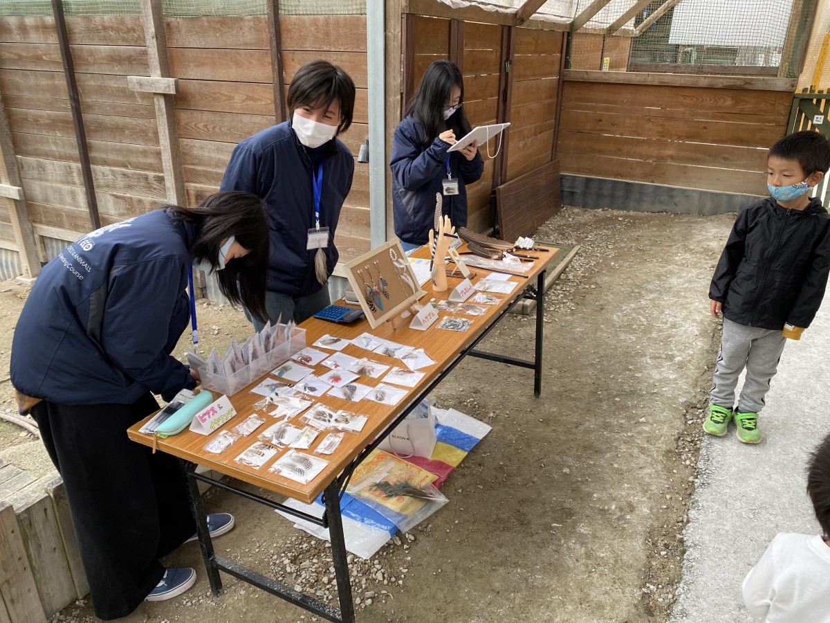 Aichi Farm Snow Festival