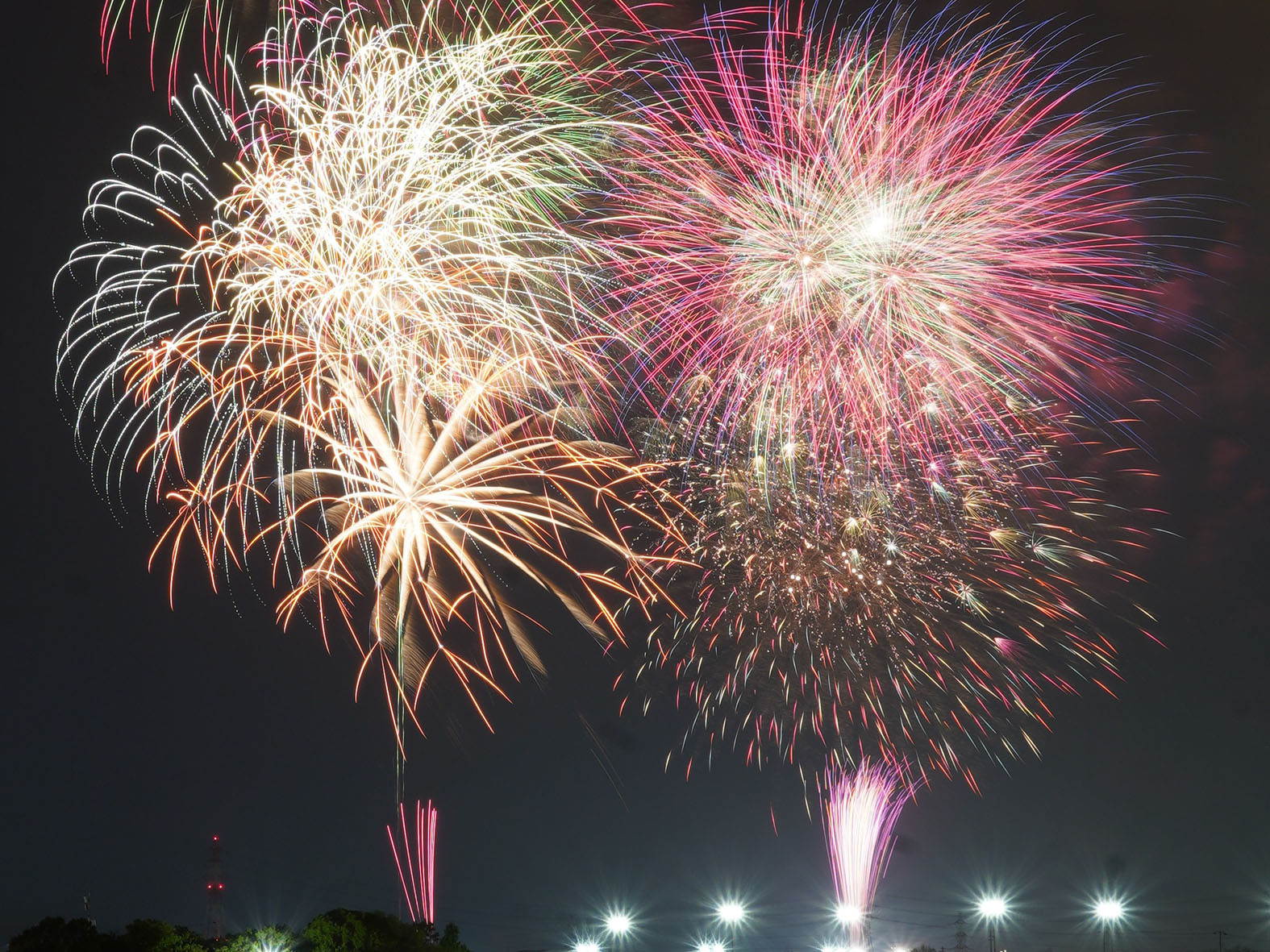Kariya Wansaka Festival