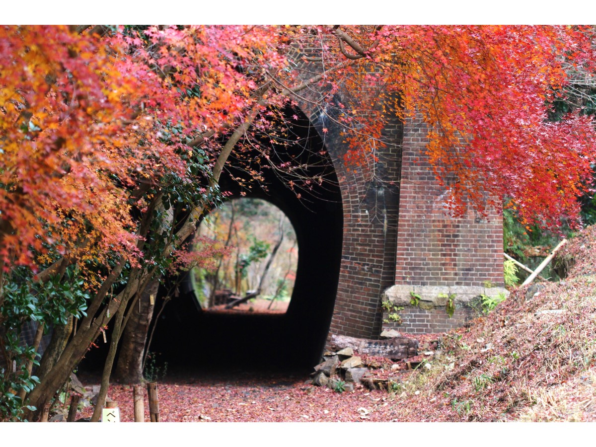 Aigi Tunnels