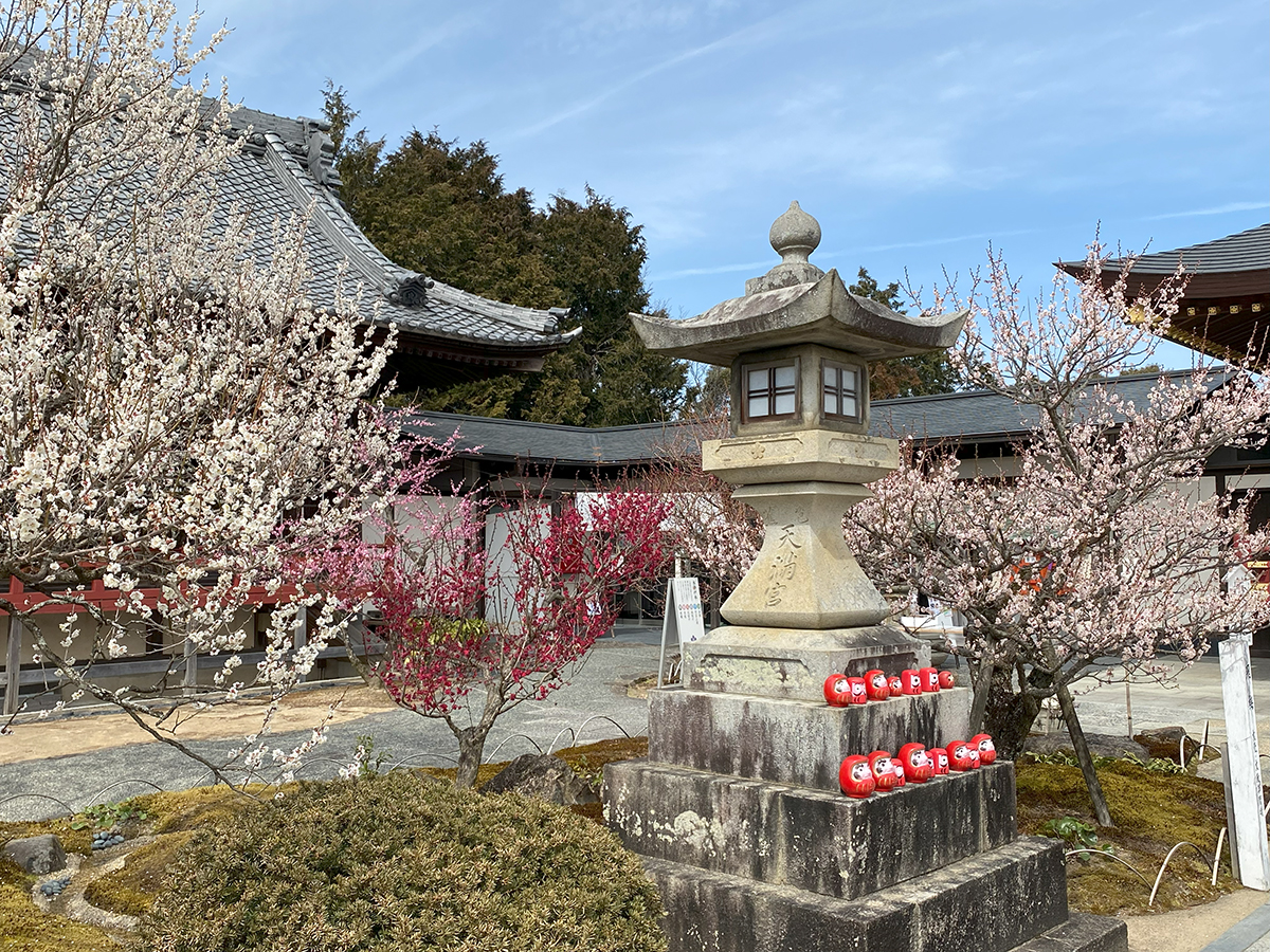 Iwazu Temmangu Shrine Plum Blossom Festival
