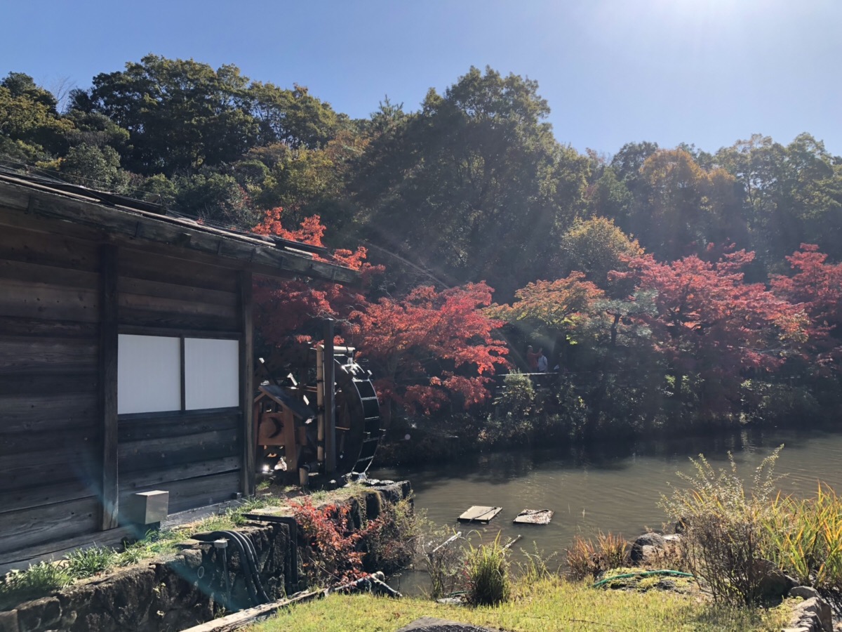 东山动植物园　赏红叶