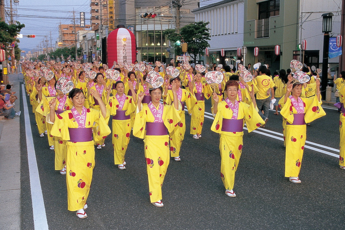 岡崎城下家康公夏日祭