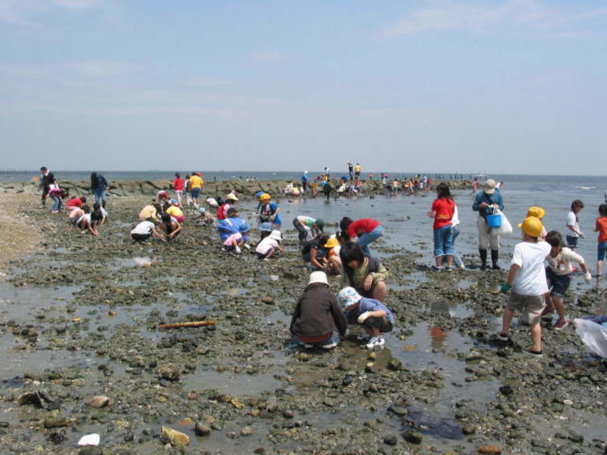 山田海岸 趕海