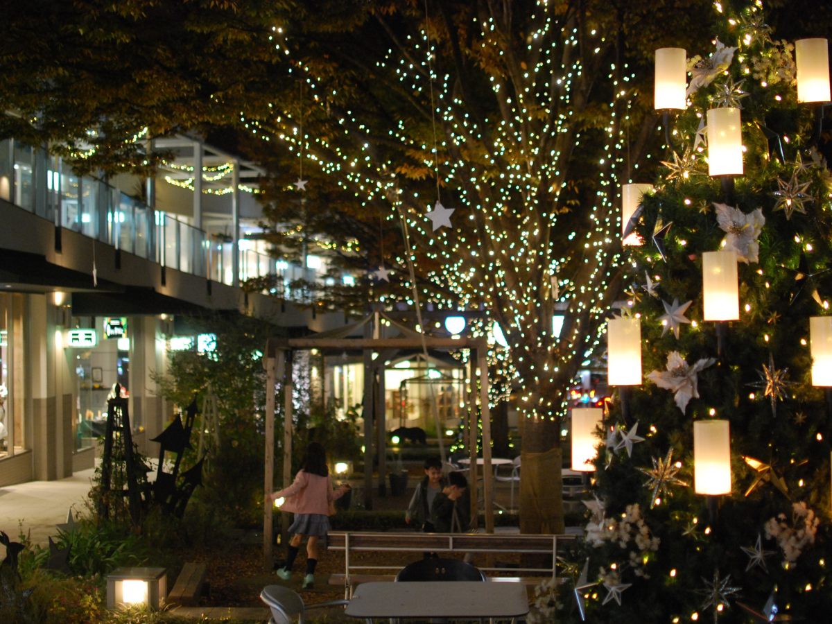 Hoshigaoka Terrace Winter Light Display