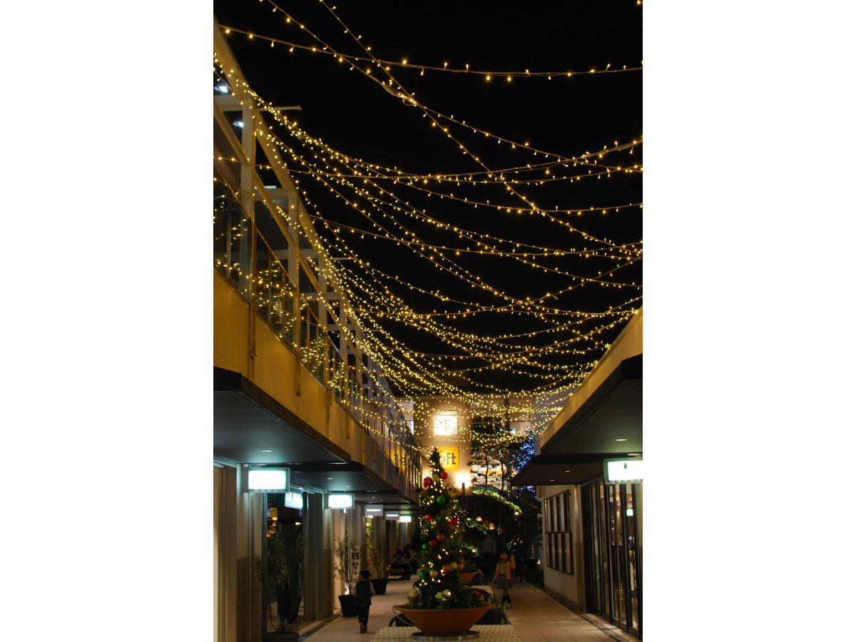 Hoshigaoka Terrace Winter Light Display