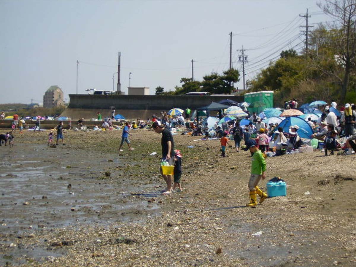 山田海岸 赶海