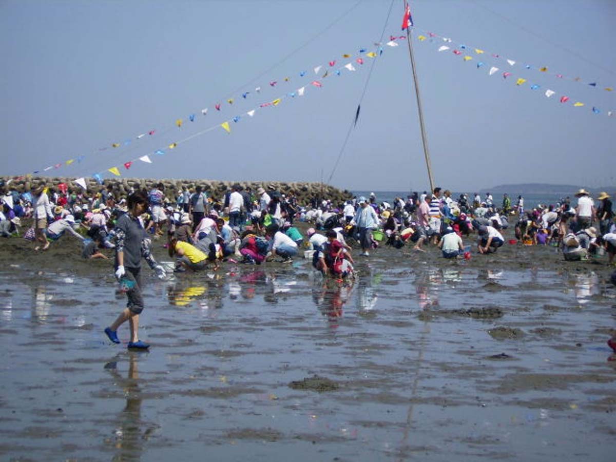 山田海岸 趕海