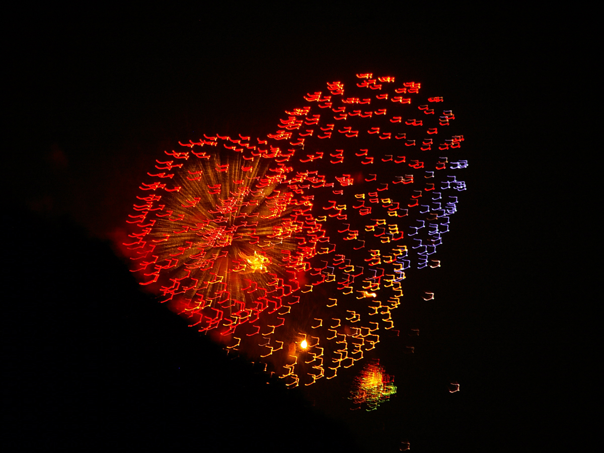 Nakamura Park Summer Festival