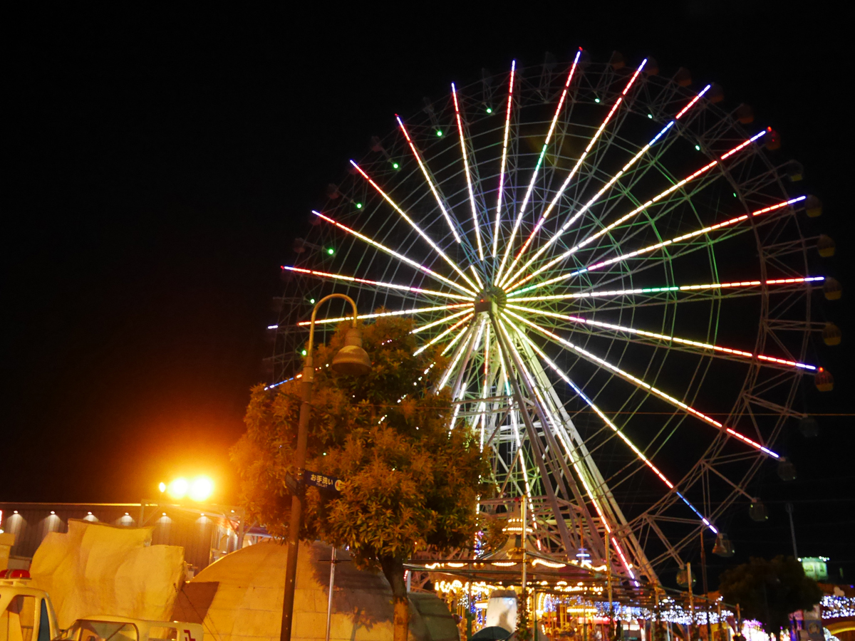 Port of Nagoya Sea Train Land Winter Light Display