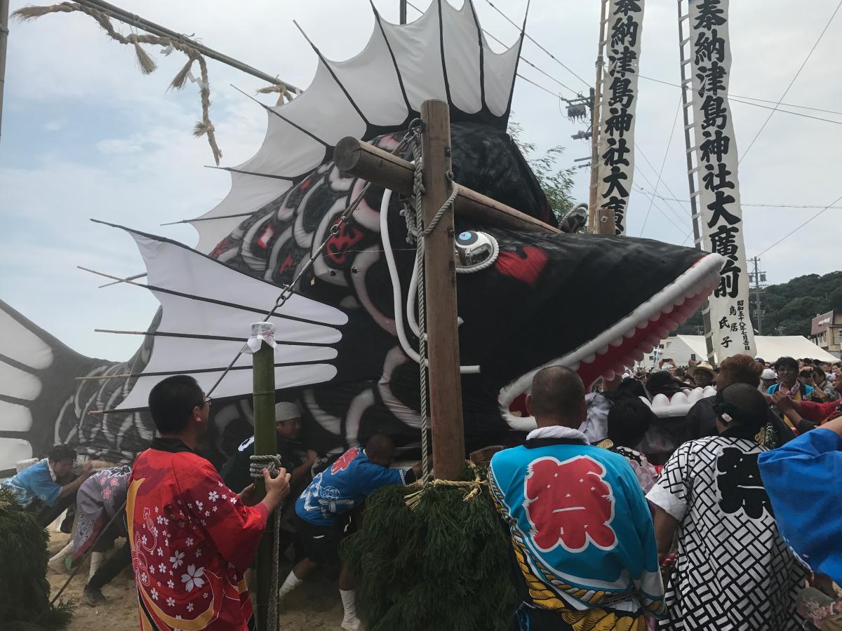 丰浜鲷鱼祭