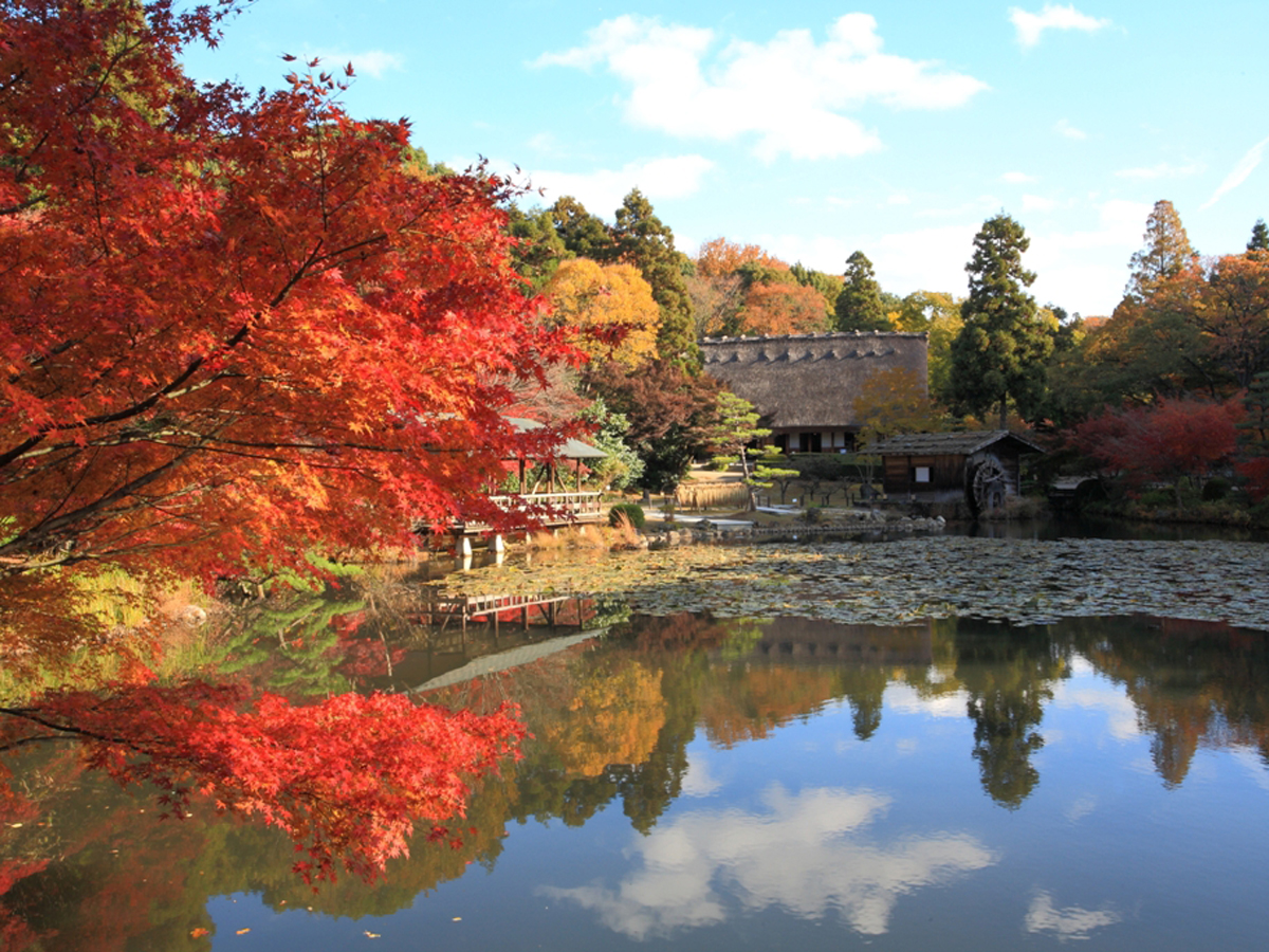 Higashiyama Zoo and Botanical Gardens Fall Leaves Collecting