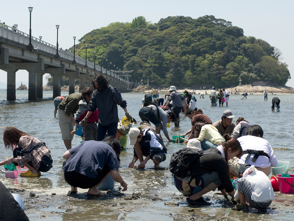 Clamming along Takeshima Coast