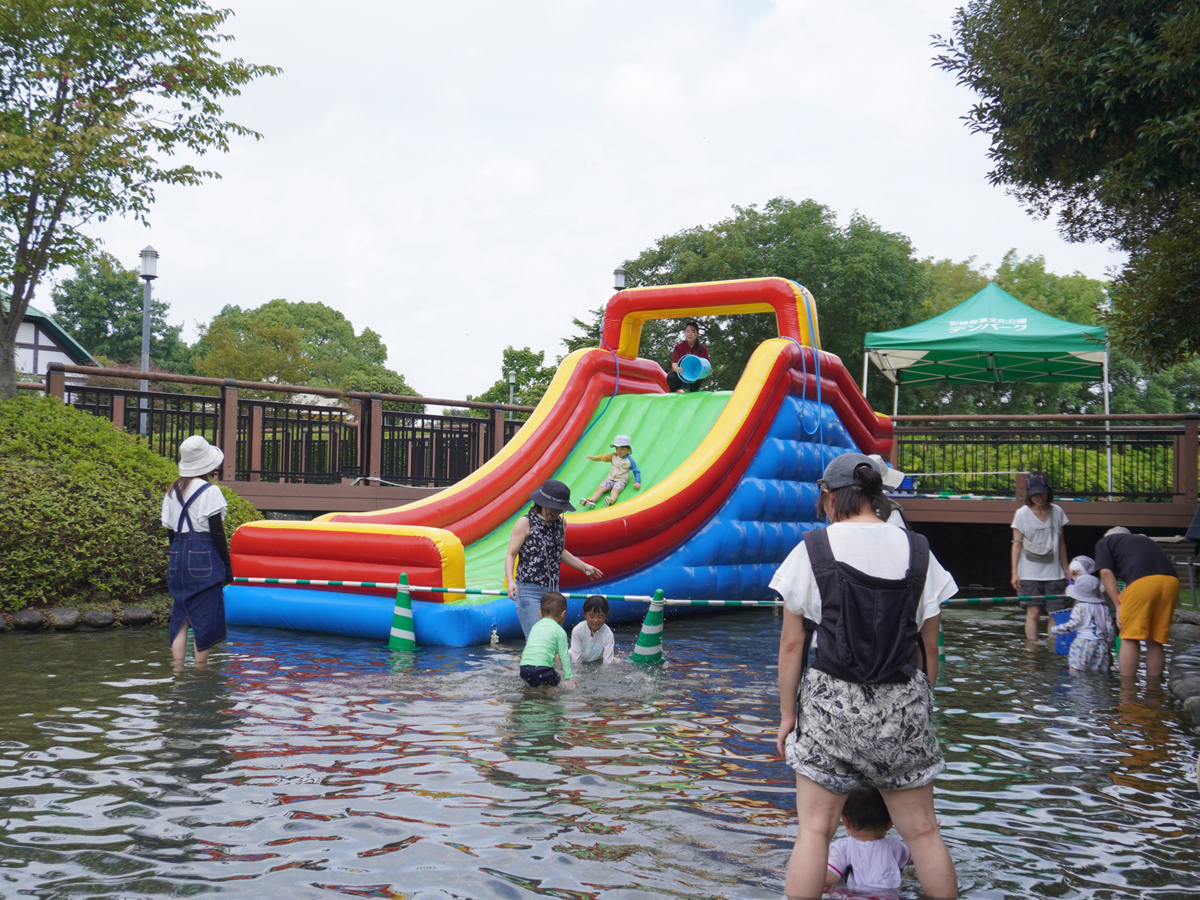 丹麥公園 夏日祭