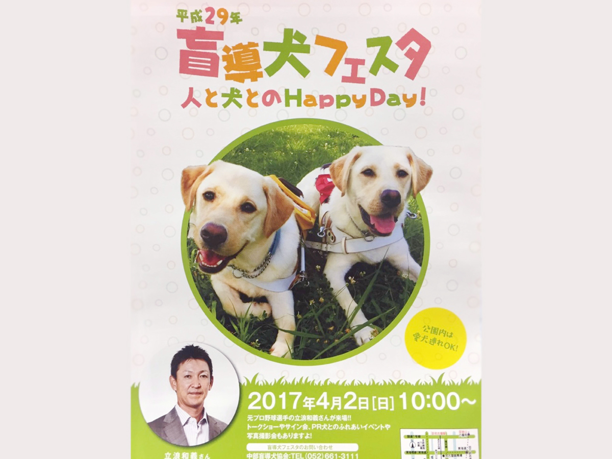 导盲犬节