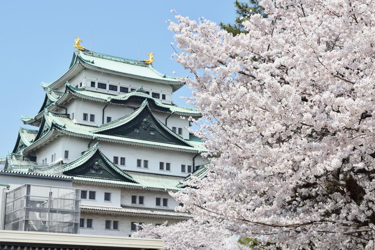 名古屋城 春季阵