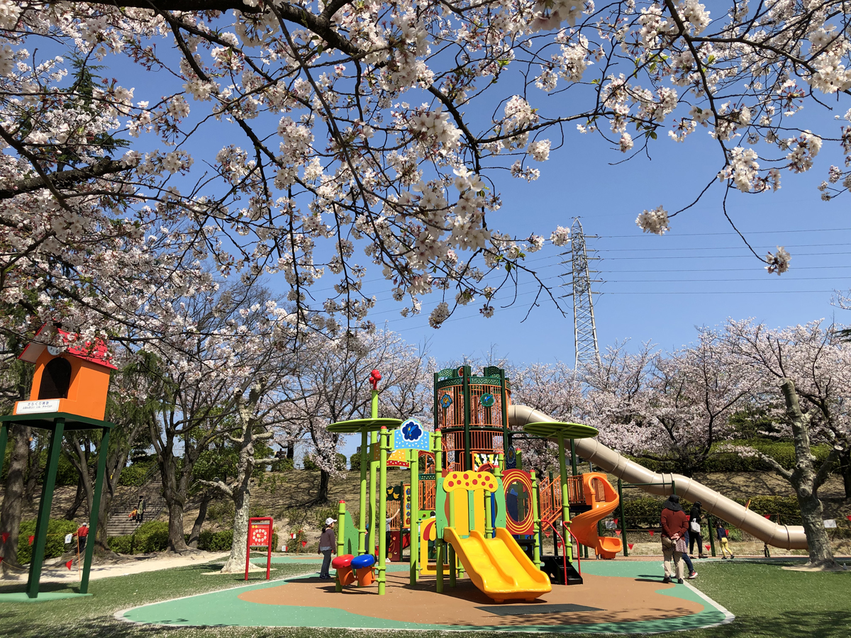 大池公園櫻花節
