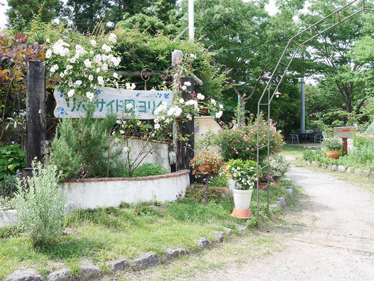 河畔園依田 摘藍莓
