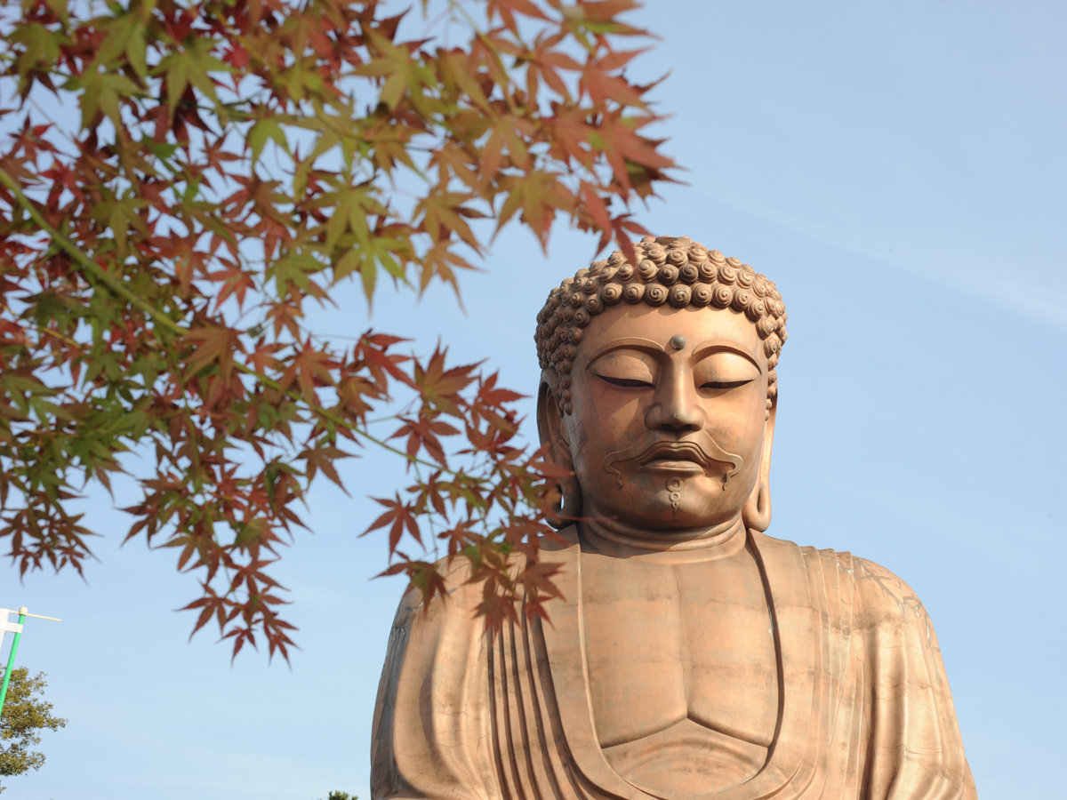 聚乐园公园红叶节