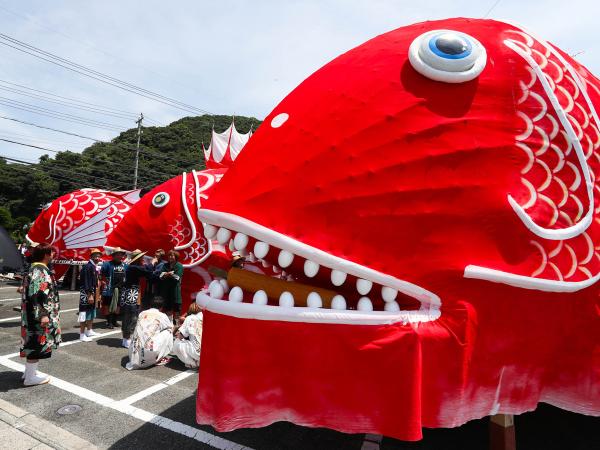 豐浜鯛魚祭