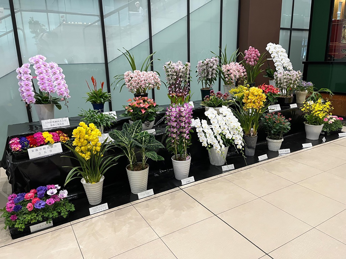 Tokai Flower Show