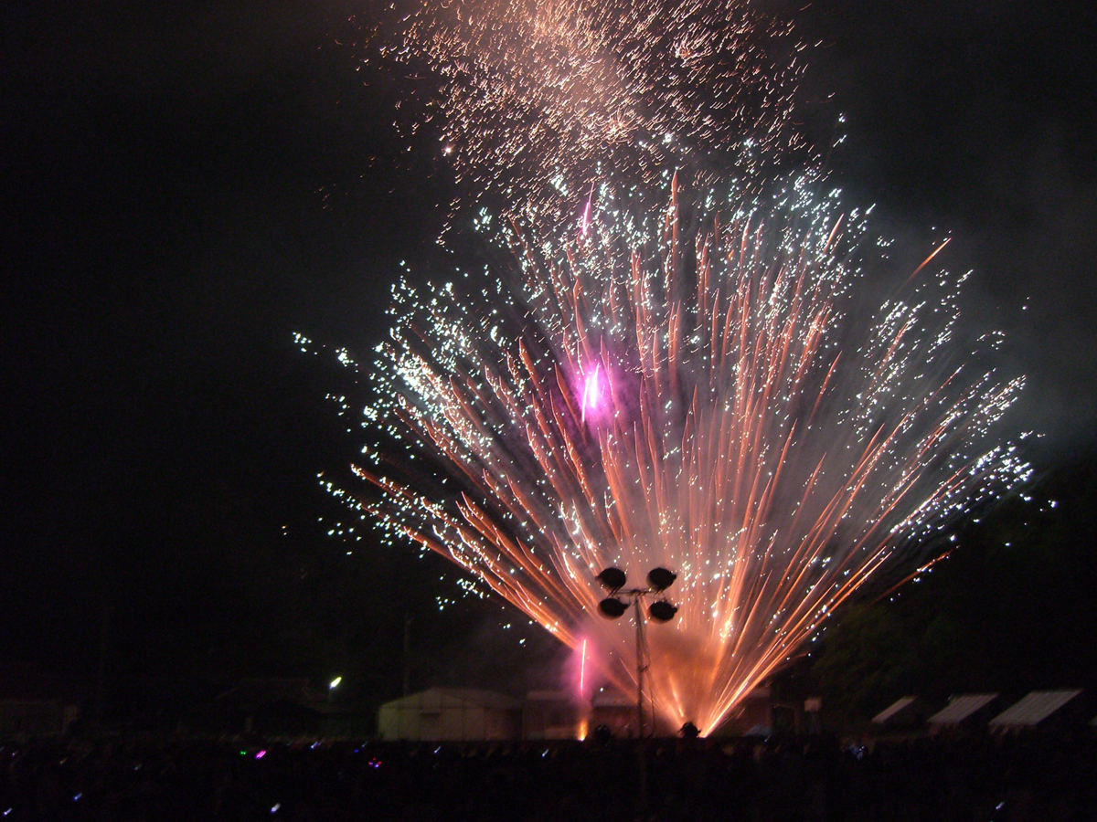 Fujioka Oiden Summer Festival