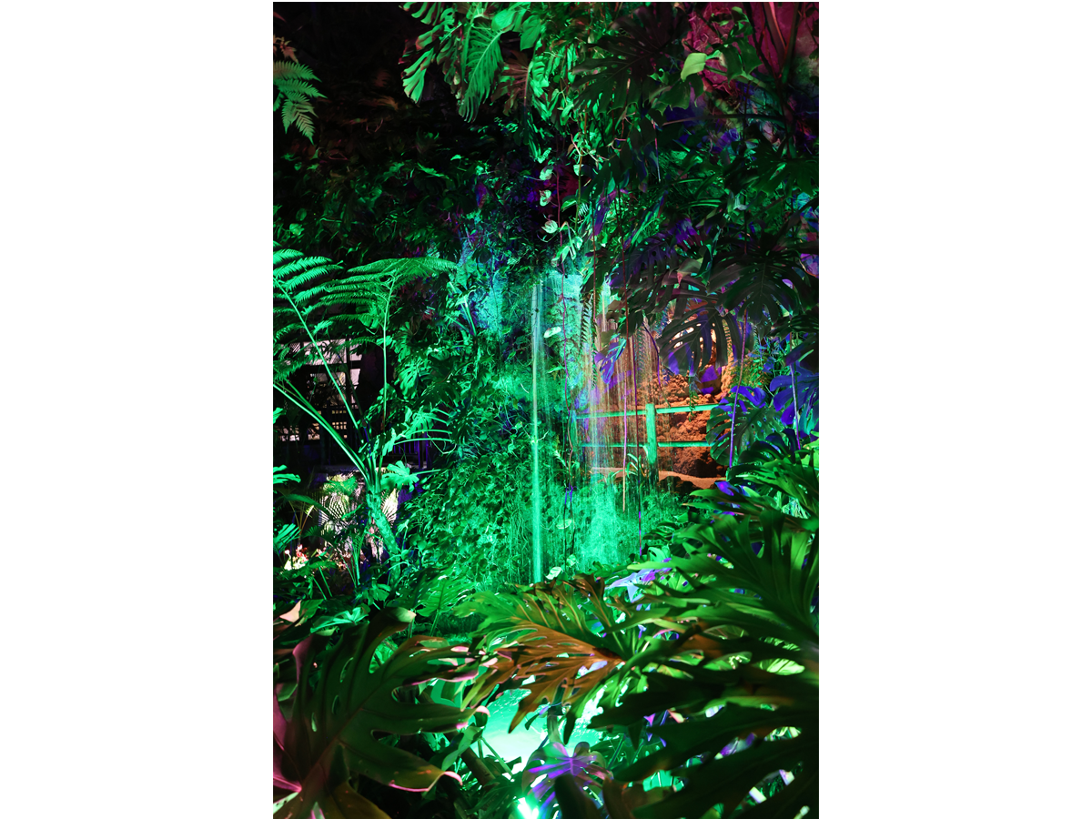 Night Zoo at Non Hoi Park