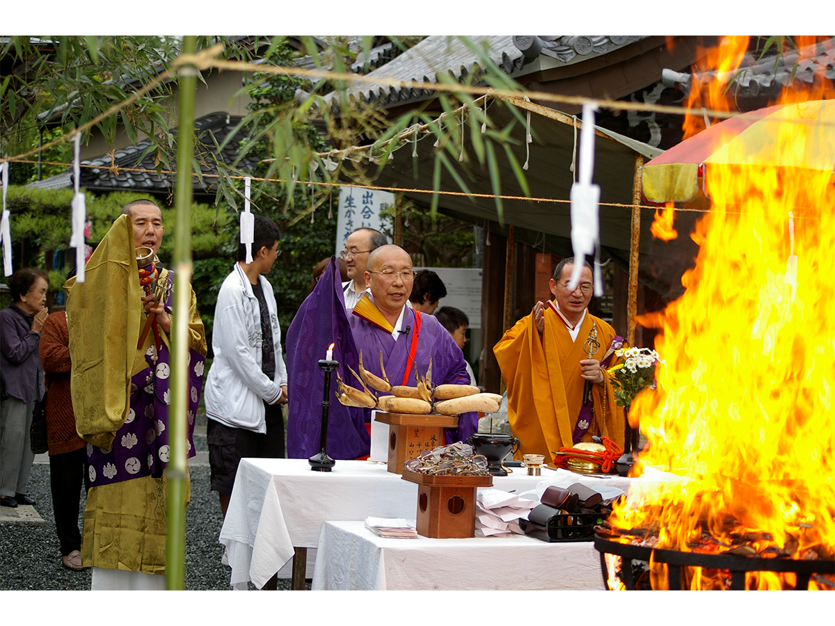 大智院　めがね弘法大祭(めがね供養)_1