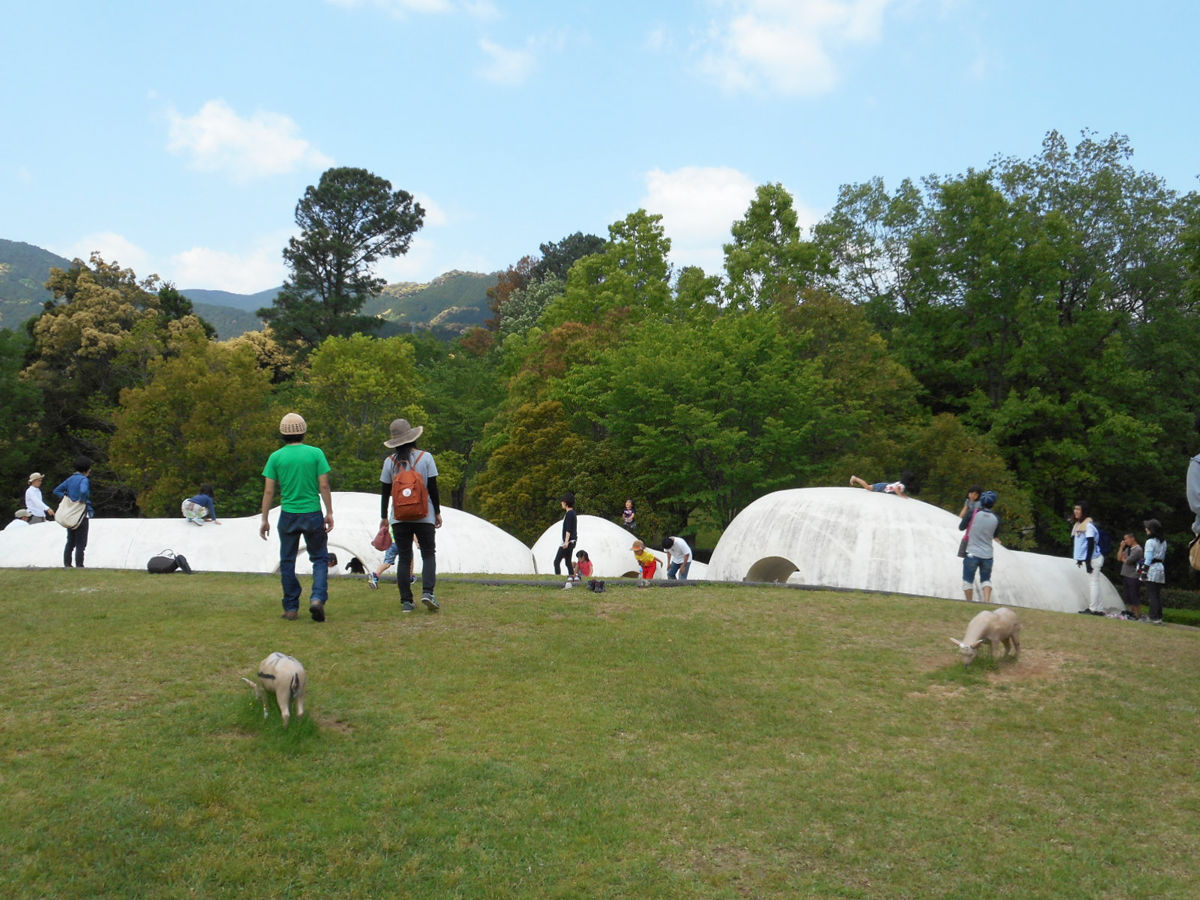 新城総合公園ふれあいまつり