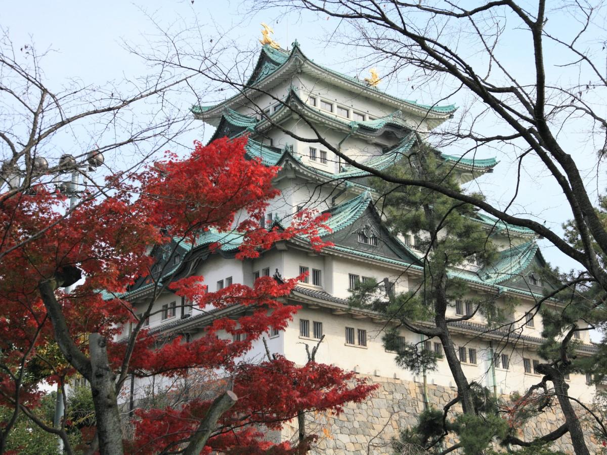 名古屋城秋まつり