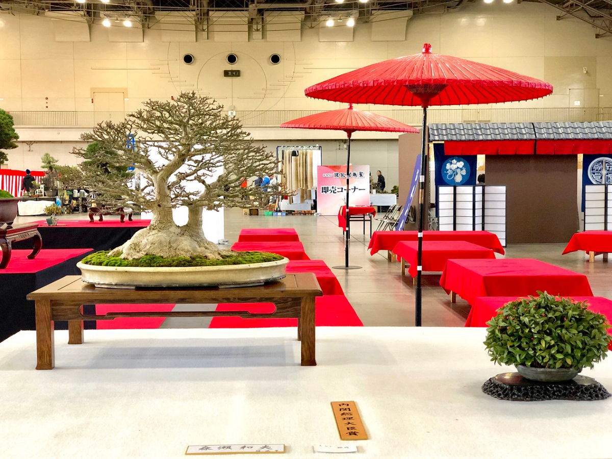 銘風盆栽展