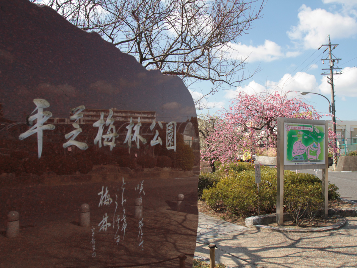 平芝公園梅まつり