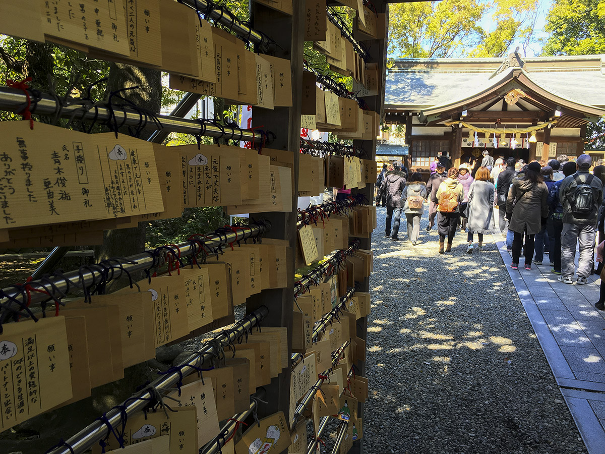 豊年祭（田縣神社）