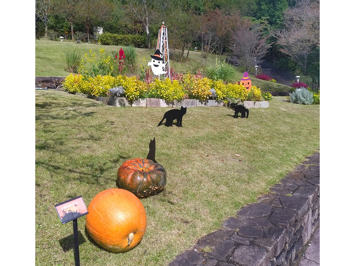 モリコロハロウィン