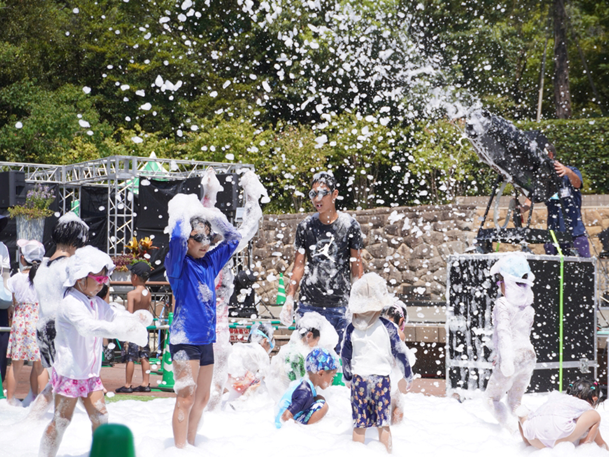 丹麦公园 夏日祭