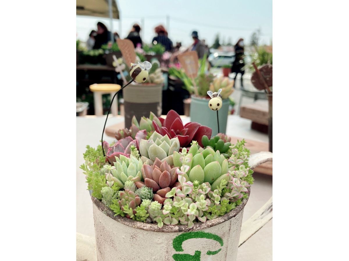 TOKAI ECO FESTA
