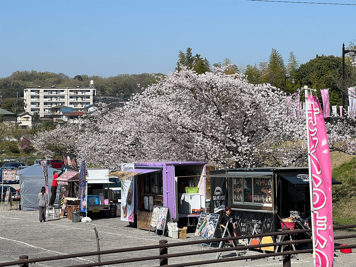 尾張旭・城山公園さくらまつり