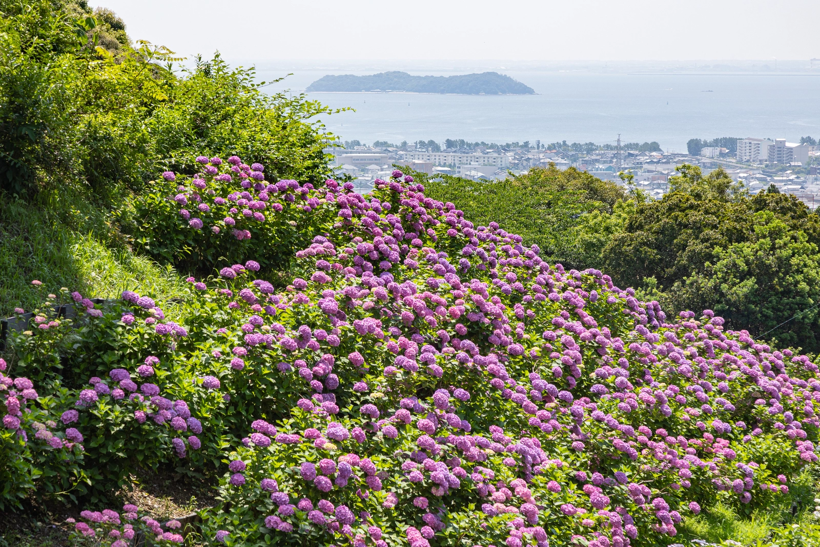 三河湾