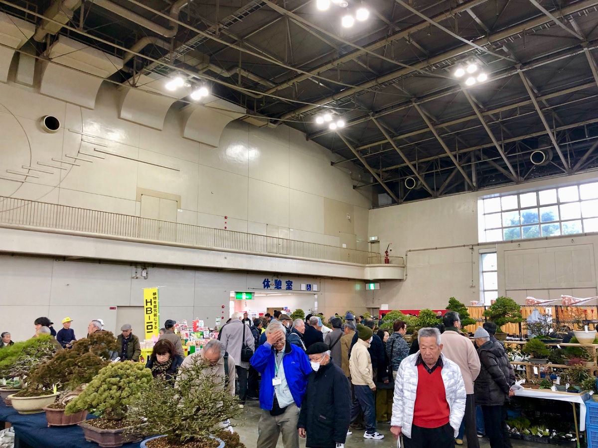 銘風盆栽展