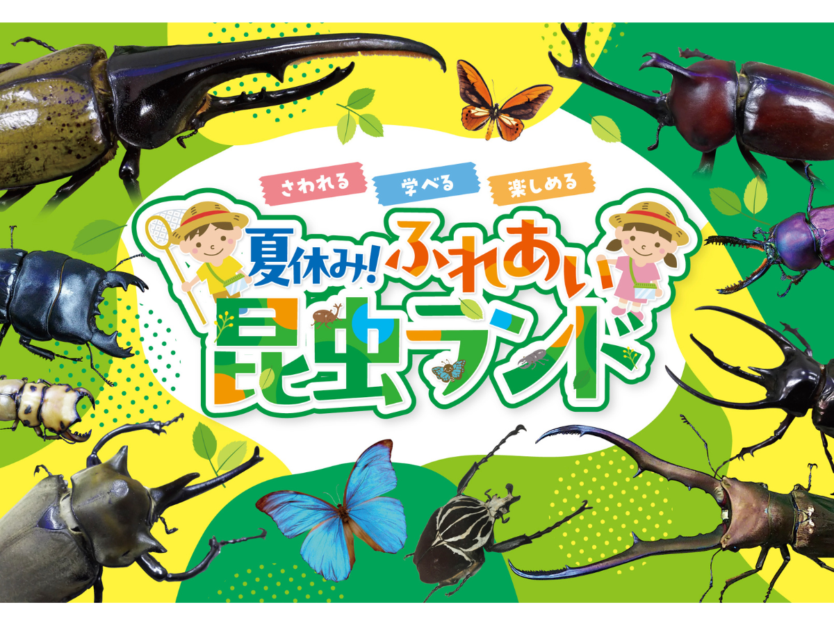 夏休み！ふれあい昆虫ランド | イベント検索 | 【公式】愛知県の観光