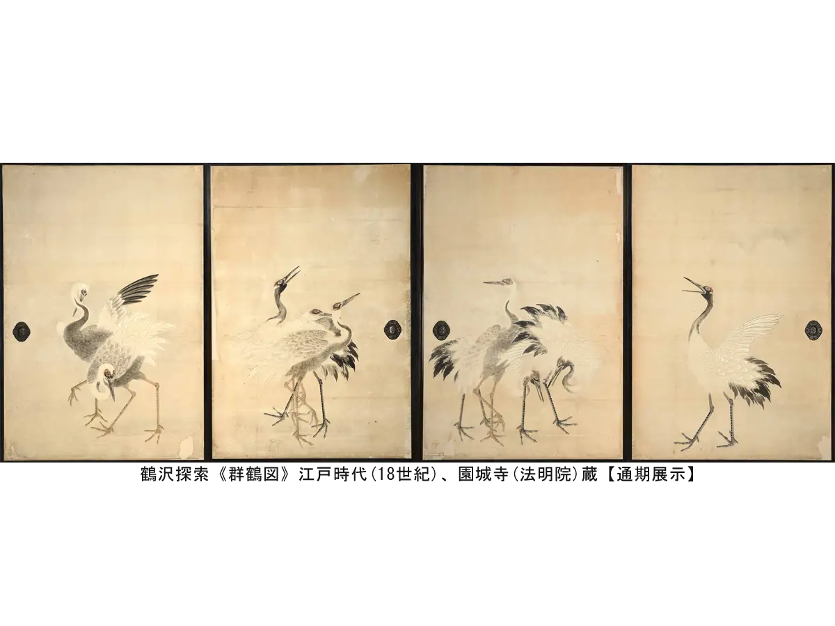 鶴沢探索《群鶴図》江戸時代(18 世紀)、園城寺(法明院)蔵【通期展示】