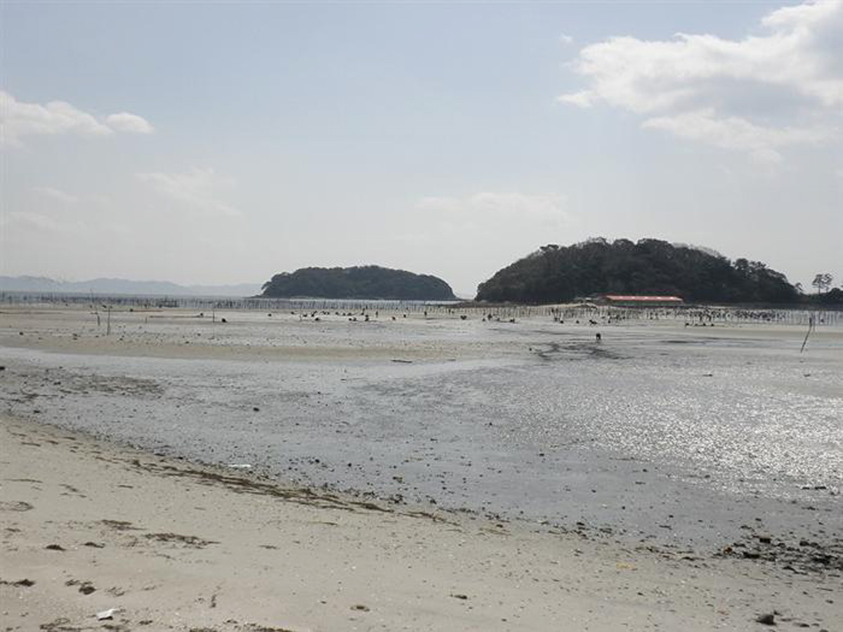 東はず海岸・前島　潮干狩り