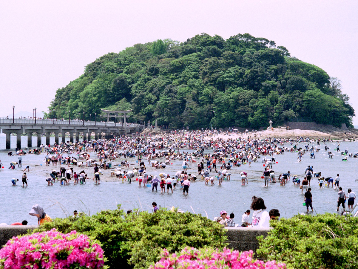 Clamming along Takeshima Coast
