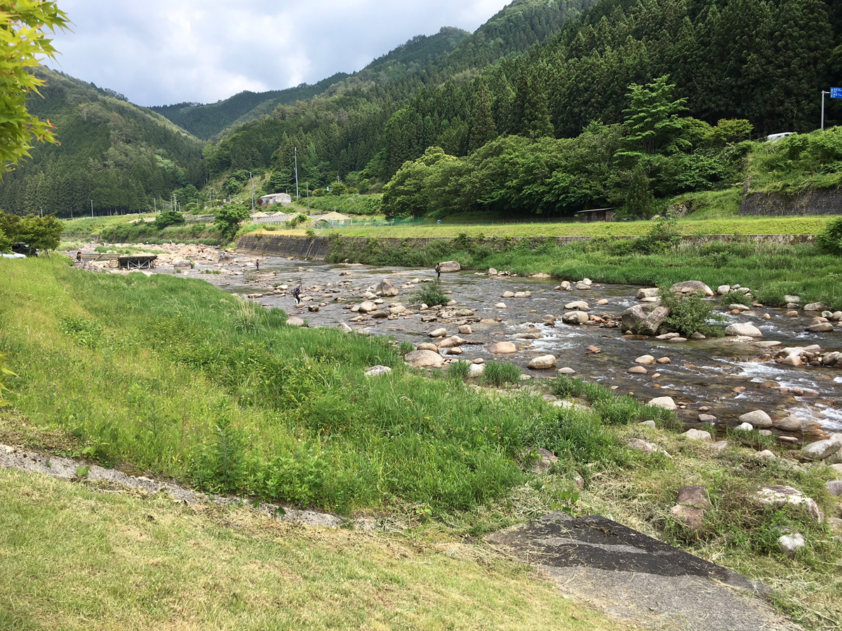 名倉川・段戸川　鮎漁解禁