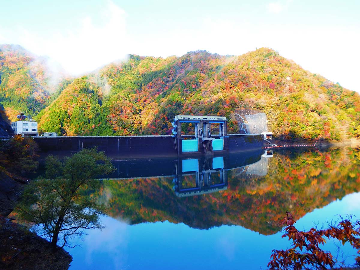 とよね・みどり湖ハーフマラソン