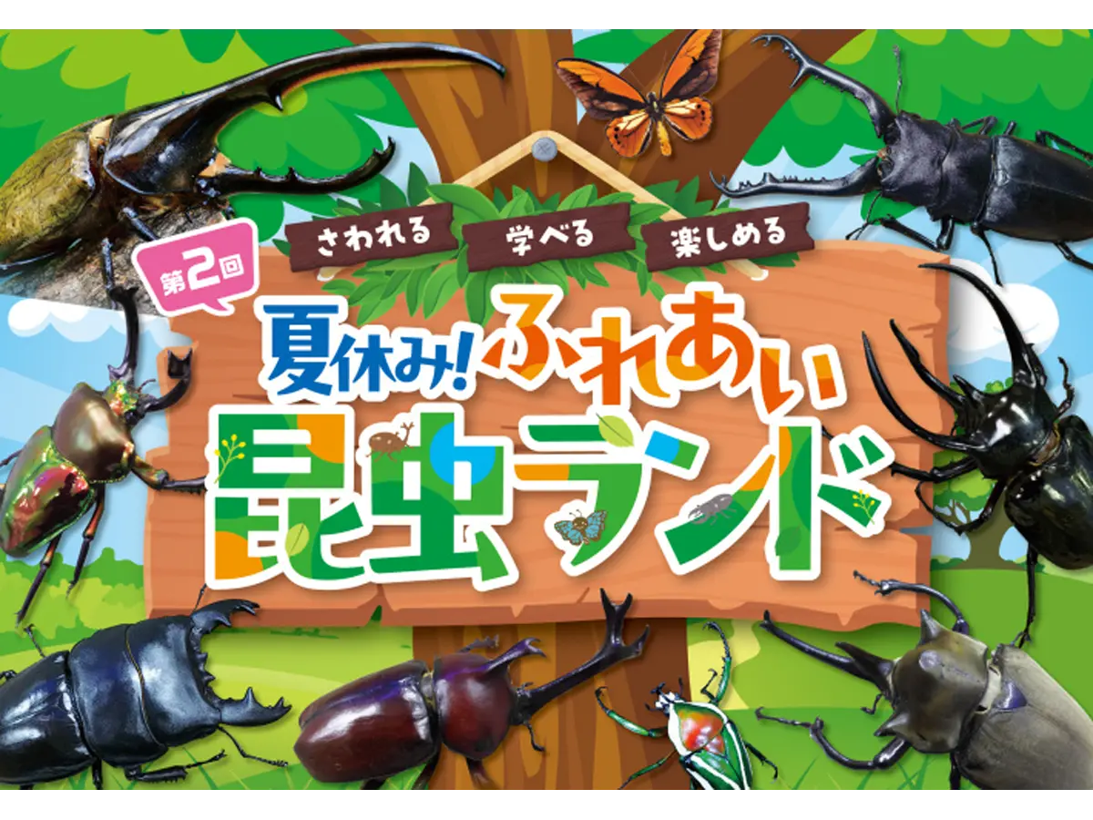 夏休み！ふれあい昆虫ランド