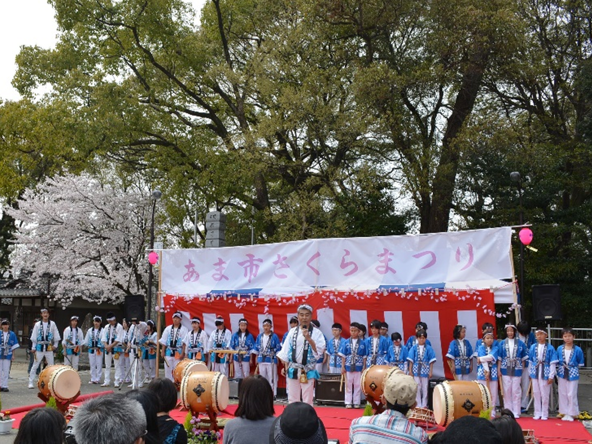 Ama市樱花节