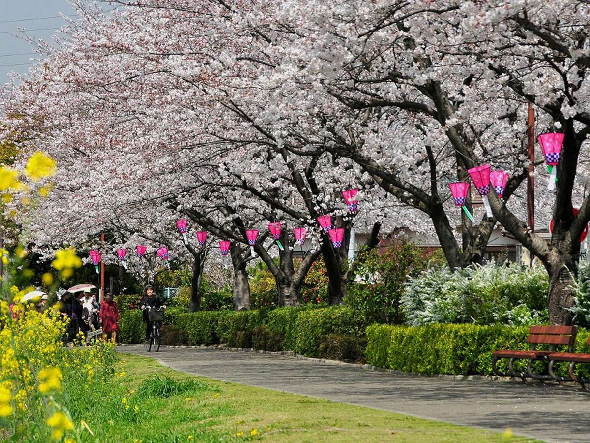 石ヶ瀬川